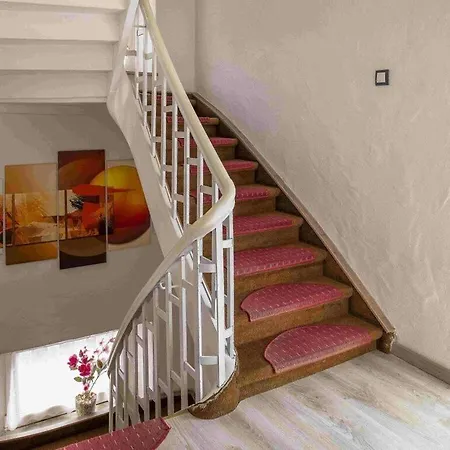 Stad Vakantiehuis Daun Holiday home *